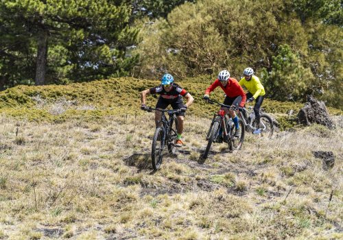 Giro completo dell'Etna con Navigatore