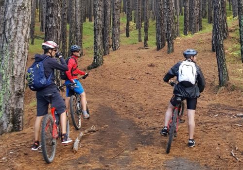 Giro completo dell'Etna in MTB